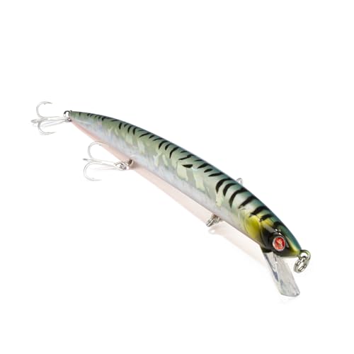 Mommotti 160 S – Farbe ITA-MACKEREL Mommotti 160 S – Farbe ITA-MACKEREL von Seaspin