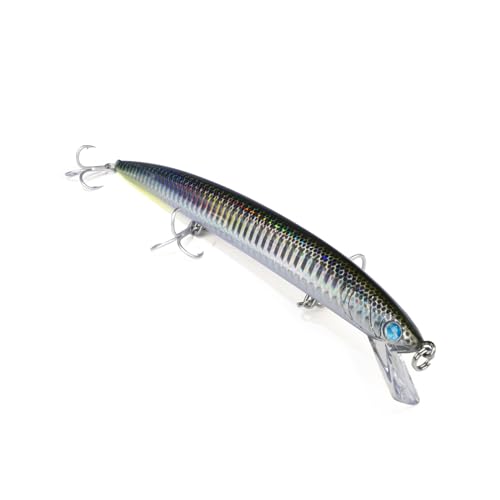 Mommotti 160 SF – Farbe Acc – 160 mm – 21 g, CRBO Mommotti 160 SF – Farbe Acc – 160 mm – 21 g, CRBO von Seaspin