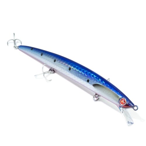 Mommotti 180 SK - Colore SARR - 180 mm - 29 g Mommotti 180 SK - Colore SARR - 180 mm - 29 g von Seaspin