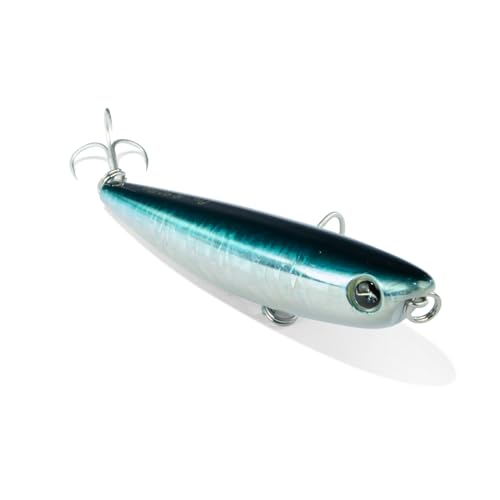 SEASPIN Pro-Q 90 Flat Color AGUP 90mm - 10,50g - Walking The Dog per la pesca in Mare SEASPIN Pro-Q 90 Flat Color AGUP 90mm - 10,50g - Walking The Dog per la pesca in Mare von Seaspin