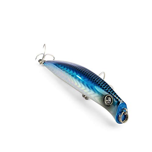 Seaspin Coixedda 100 Kunstpflanze Pesca in Mare, Blue AYU, 100 mm Seaspin Coixedda 100 Kunstpflanze Pesca in Mare, Blue AYU, 100 mm von Seaspin