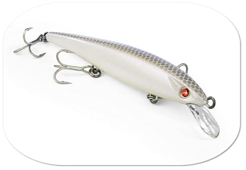 Seaspin EJA 100 Kunstpflanze Pesca in Mare, GLWR, 100 mm Seaspin EJA 100 Kunstpflanze Pesca in Mare, GLWR, 100 mm von Seaspin