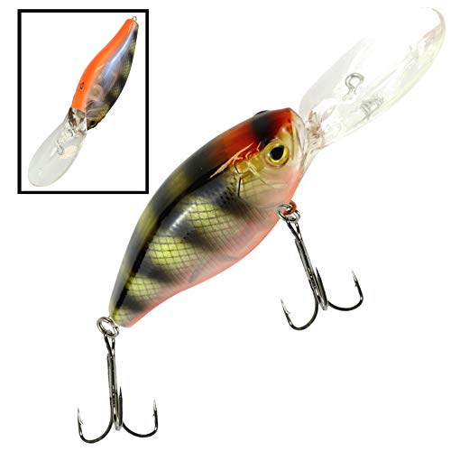SEIKA Pro Unisex – Erwachsene 10C8900108C10 SEIKA Pr-Kobe-Wobbler Farbe: Goby 7,0cm Programm von FTM, Bunt, Normal SEIKA Pro Unisex – Erwachsene 10C8900108C10 SEIKA Pr-Kobe-Wobbler Farbe: Goby 7,0cm Programm von FTM, Bunt, Normal von SEIKA Pro