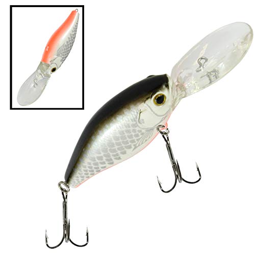 SEIKA Pro Unisex – Erwachsene 10C8900106C10 SEIKA Pr-Kobe-Wobbler Farbe: White Fish 7,0cm Programm von FTM, Bunt, Normal SEIKA Pro Unisex – Erwachsene 10C8900106C10 SEIKA Pr-Kobe-Wobbler Farbe: White Fish 7,0cm Programm von FTM, Bunt, Normal von SEIKA Pro