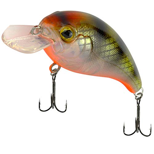 SEIKA Pro Unisex – Erwachsene 10C8900118C10 SEIKA Pr-Osaka-Wobbler Farbe: Goby UV 4,5cm Programm von FTM, Bunt, Normal SEIKA Pro Unisex – Erwachsene 10C8900118C10 SEIKA Pr-Osaka-Wobbler Farbe: Goby UV 4,5cm Programm von FTM, Bunt, Normal von SEIKA Pro