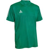 Select Pisa Trikot grün/weiß M von Select