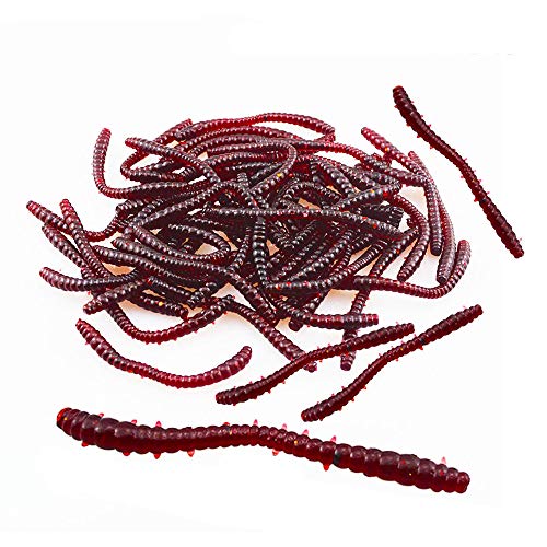 Senven Künstlicher Regenwurm, Biomimetic Soft Silicone Regenwurm Köder Wurm Angelköder Simulation Rote Würmer Kunststoff Grün Umwelt Starke Versuchung Köder Gefälschte Rotwurm - Medium 100Pcs Senven Künstlicher Regenwurm, Biomimetic Soft Silicone Regenwurm Köder Wurm Angelköder Simulation Rote Würmer Kunststoff Grün Umwelt Starke Versuchung Köder Gefälschte Rotwurm - Medium 100Pcs von Senven