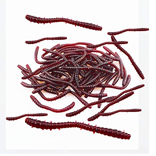 Senven Künstlicher Regenwurm, Biomimetic Soft Silicone Regenwurm Köder Wurm Angelköder Simulation Rote Würmer Kunststoff Grün Umwelt Starke Versuchung Köder Gefälschte Rotwurm - Medium 150Pcs Senven Künstlicher Regenwurm, Biomimetic Soft Silicone Regenwurm Köder Wurm Angelköder Simulation Rote Würmer Kunststoff Grün Umwelt Starke Versuchung Köder Gefälschte Rotwurm - Medium 150Pcs von Senven