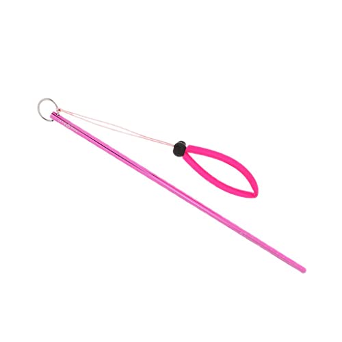 Sharplace Riffstab - Taucher Zeigestab mit Handschlaufe, Rosa Sharplace Riffstab - Taucher Zeigestab mit Handschlaufe, Rosa von Sharplace