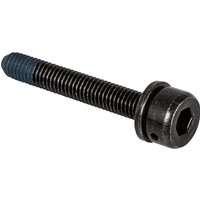 SHIMANO M5 Befestigungsschraube für PM auf Flatmount Bremsatteladapter SHIMANO M5 Befestigungsschraube für PM auf Flatmount Bremsatteladapter von Shimano