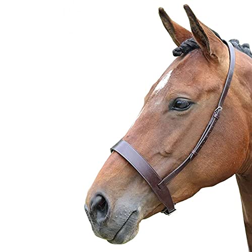 Blenheim Hunter Kappzaum Reithalfter Pferd Equestrian Reiten zeigt Zweispänner Braun braun XFULL Blenheim Hunter Kappzaum Reithalfter Pferd Equestrian Reiten zeigt Zweispänner Braun braun XFULL von Shires