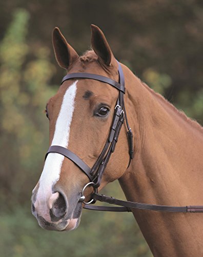 Shires Aviemore Uni Trensenzaum mit Gummi Grip Zügel – Schwarz schwarz schwarz Cob von Shires