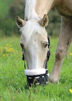 Deluxe-Weidenmaulkorb von Shires für Pferde, aus Nylon, 495NF, schwarz, Small Pony von Shires