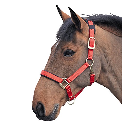 Shires Topaz Pferdehalfter Nylon, Schwarz Cob rot Shires Topaz Pferdehalfter Nylon, Schwarz Cob rot von Shires