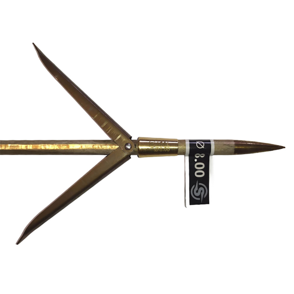Sigalsub Hrc Tahitian With Cone Doppelflossen-speerschaft 8.00 Mm Sigalsub Hrc Tahitian With Cone Doppelflossen-speerschaft 8.00 Mm von Sigalsub