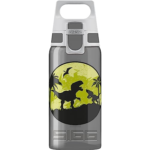 SIGG - Trinkflasche Kinder - Viva One Dino - Für Kohlensäurehaltige Getränke Geeignet - Auslaufsicher - Spülmaschinenfest - BPA-frei - Sport - Grau - 0,5L von SIGG