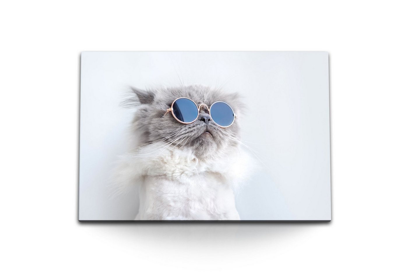 Sinus Art Leinwandbild 120x80cm Wandbild auf Leinwand Katze mit Sonnenbrille Tierfotografie K, (1 St) von Sinus Art