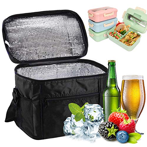 Sinwind Kühltasche Faltbar, Picknicktasche Kühltasche Thermotasche Klein Lsoliertasche Lunch Kühltasche Eistasche Lunch Tasche Kühlbox 10L für Picknick (schwarz) von Sinwind