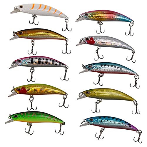 Sirxlevcy 10 StüCke Lot Lure Interne FäRbung Schwimmend Angeln KöDer Bass CrankBait 6Cm von Sirxlevcy