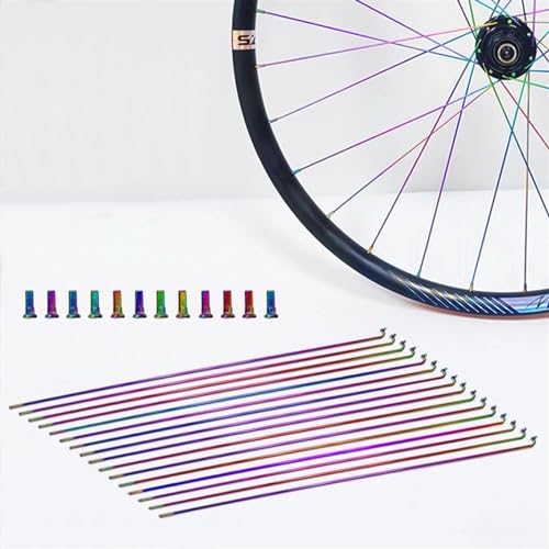 Fahrradspeichen mit Nippeln, 14 G, Regenbogen-Speichen, Fahrradreparatur, Ersatzwerkzeug, Zubehör, Aluminiumlegierung, Fahrradspeichenteile, Radfahren (259 mm), 36 Stück von Skday