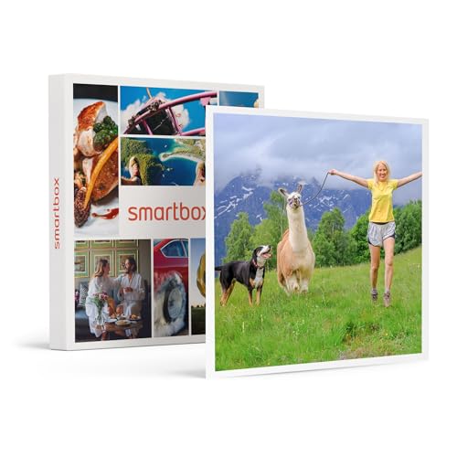 smartbox - Geschenkbox 1-stündige Alpaka-Wanderung für 2 Personen - Originelle Geschenkidee smartbox - Geschenkbox 1-stündige Alpaka-Wanderung für 2 Personen - Originelle Geschenkidee von Smartbox