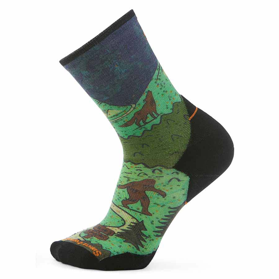 Smartwool Trail Run Targeted Cushion Neature Print Crew Socks Grün EU 38-41 Mann Smartwool Trail Run Targeted Cushion Neature Print Crew Socks Grün EU 38-41 Mann von Smartwool