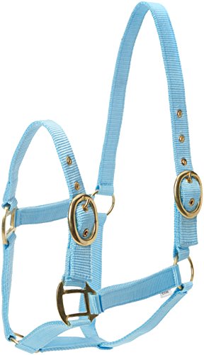 Snowhill Pferde-Halfter aus Nylon, Babyblau Snowhill Pferde-Halfter aus Nylon, Babyblau von Snowhill