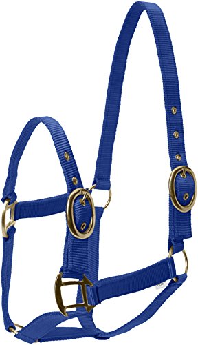 Snowhill Pferde Nylon Head Halsband Royal Blau COB Snowhill Pferde Nylon Head Halsband Royal Blau COB von Snowhill