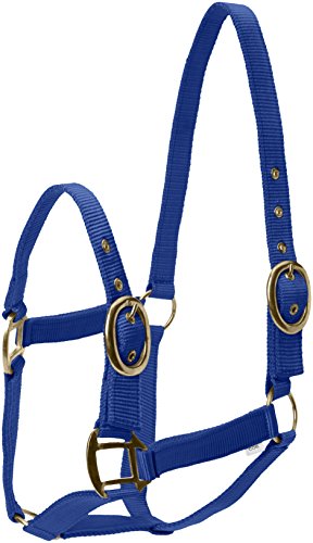 Snowhill Pferde Nylon Head Halsband Royal Blau COB von Snowhill