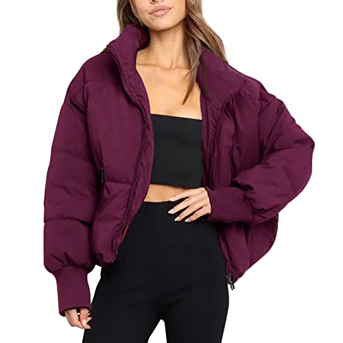 Outdoor-Daunenjacken-für-Herren, Winterjacke Damen Warm, Sport Teddyfleece Jacken Daunenjacken Elegant Hoodie Baumwolle Kapuzenpullover Teenager Mädchen Übergangsjacken Daunenmantel Übergangsjacke von Sobzia