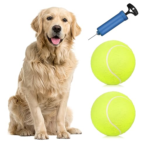 Solinder 2 Stück 9,5 Zoll übergroße Riesen-Tennisbälle, aufblasbarer Tennisball mit Pumpe, Hundespielzeugbälle für Signature-Kinder, Erwachsene, Haustiere, Hunde, Katzen, Spaß von Solinder