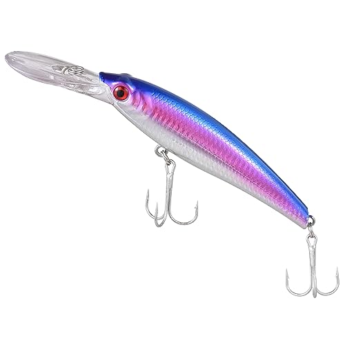 Solinder Ultralanger Angelköder, 20 cm, sinkende Minnow-Fischköder im Salzwasser, Angelgerät, 2 Haken, großer Seebarsch, Harter Köder von Solinder