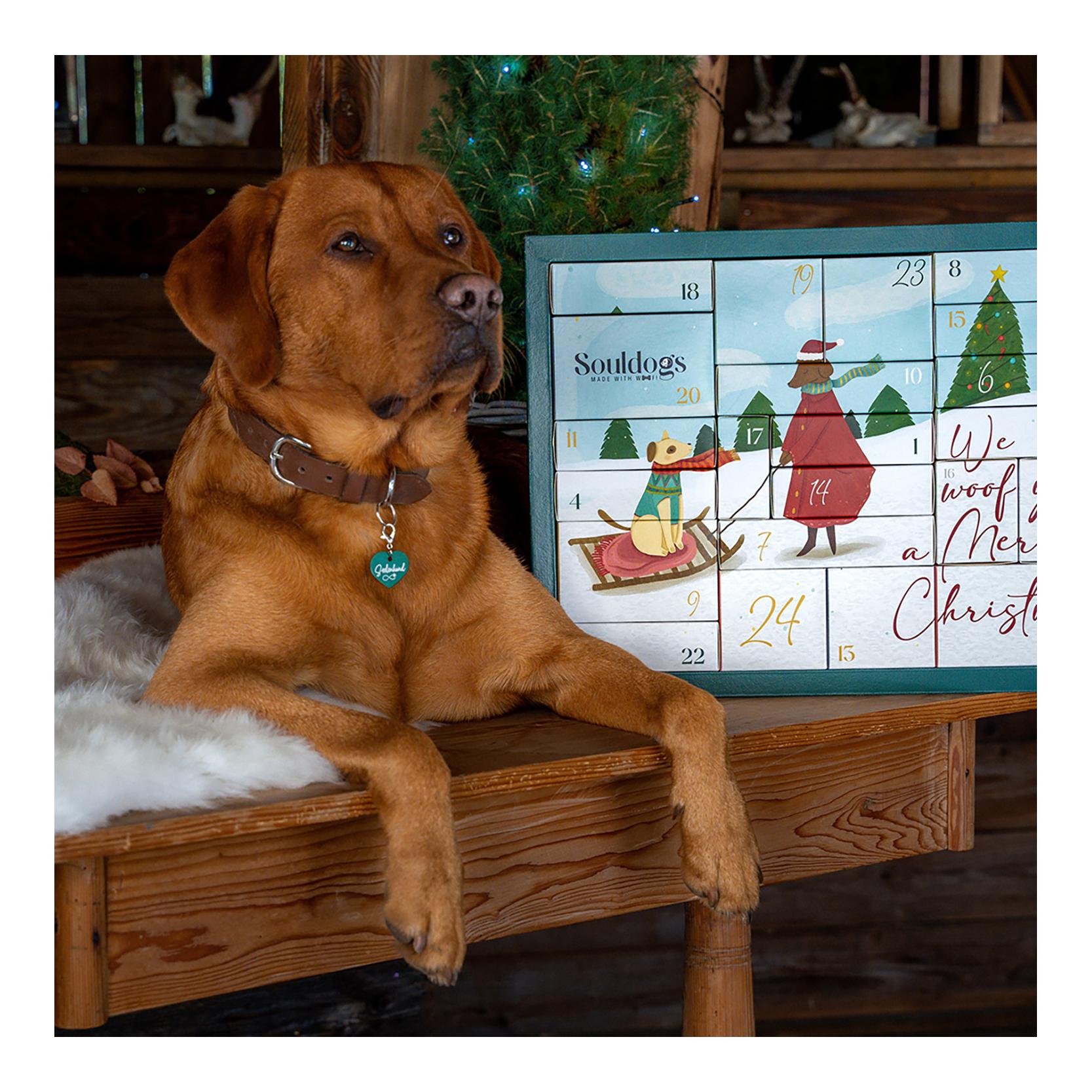 Adventskalender Souldogs Adventskalender Souldogs von Souldogs