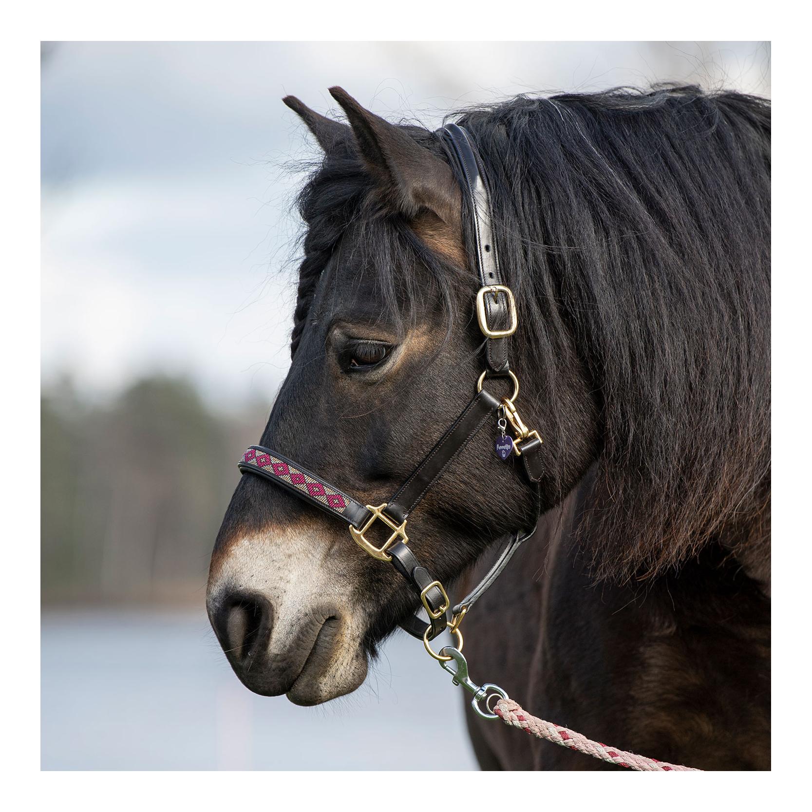 Soulhorse Lederhalfter Pearls Farbe: Berry-Bordeaux, Grösse: X-Full Soulhorse Lederhalfter Pearls Farbe: Berry-Bordeaux, Grösse: X-Full von Soulhorse