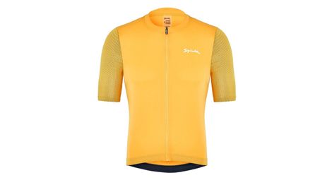 spiuk anatomic kurzarmtrikot gelb spiuk anatomic kurzarmtrikot gelb von Spiuk