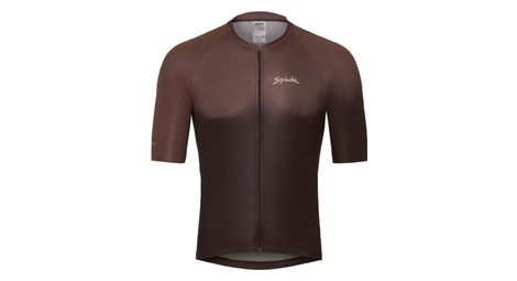 spiuk carbonite kurzarm trikot braun spiuk carbonite kurzarm trikot braun von Spiuk