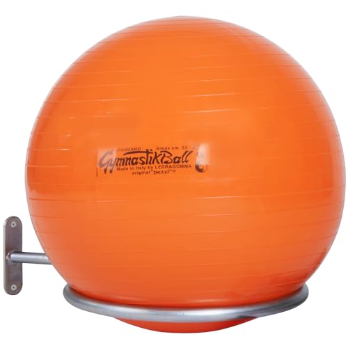 Sport-Thieme Gymnastikball Halterung | Wandhalterung für Bälle mit 45-90 cm | Für Sitzbälle, Pezzibälle, ABS Powerballs und Fußbälle im Netz | Nutzlast ca. 4 kg | Verzinktes Stahlrohr von Sport-Thieme