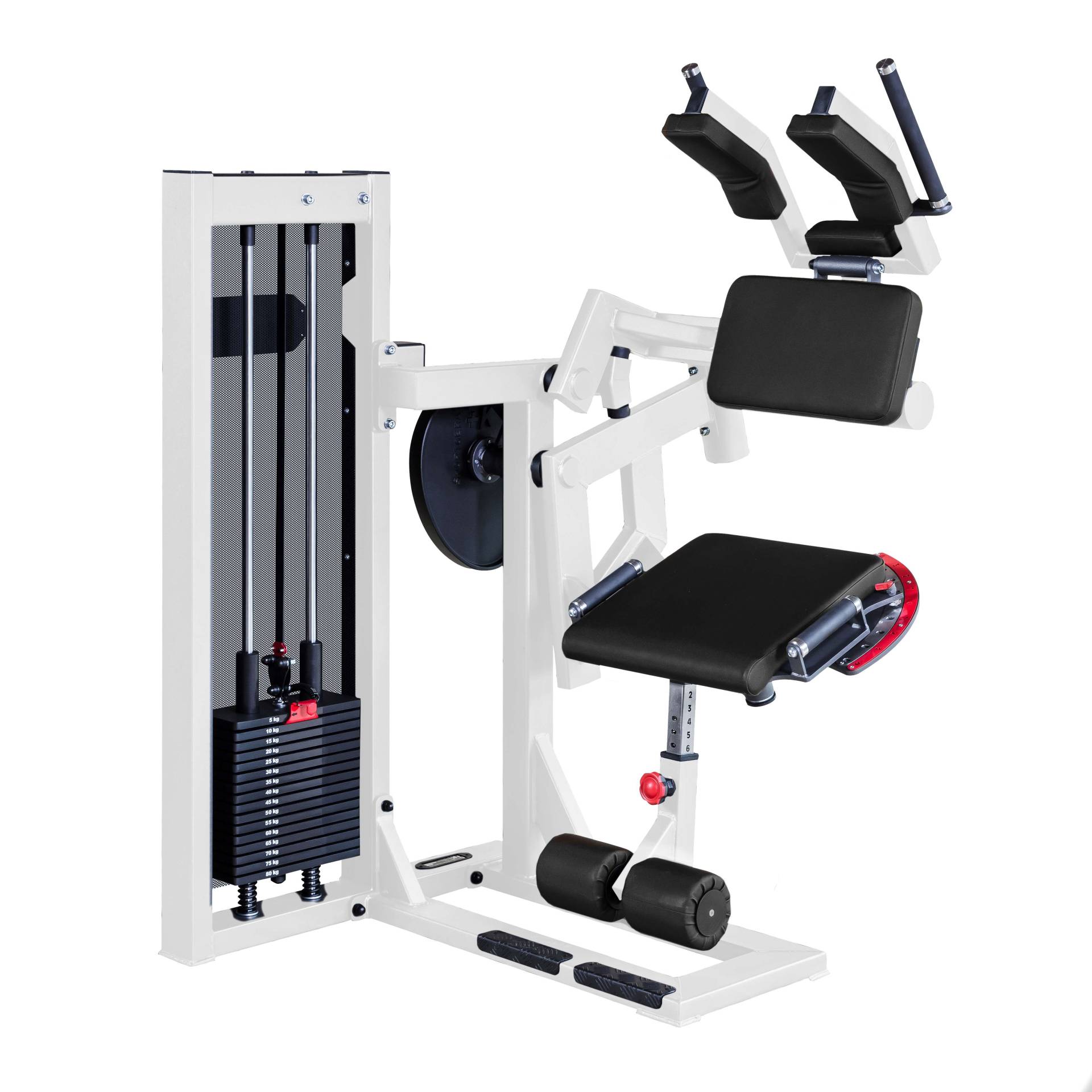 Sport-Thieme Abdominal Trainer "SQ", Mit schwarzer Lochblechverkleidung Sport-Thieme Abdominal Trainer "SQ", Mit schwarzer Lochblechverkleidung von Sport-Thieme