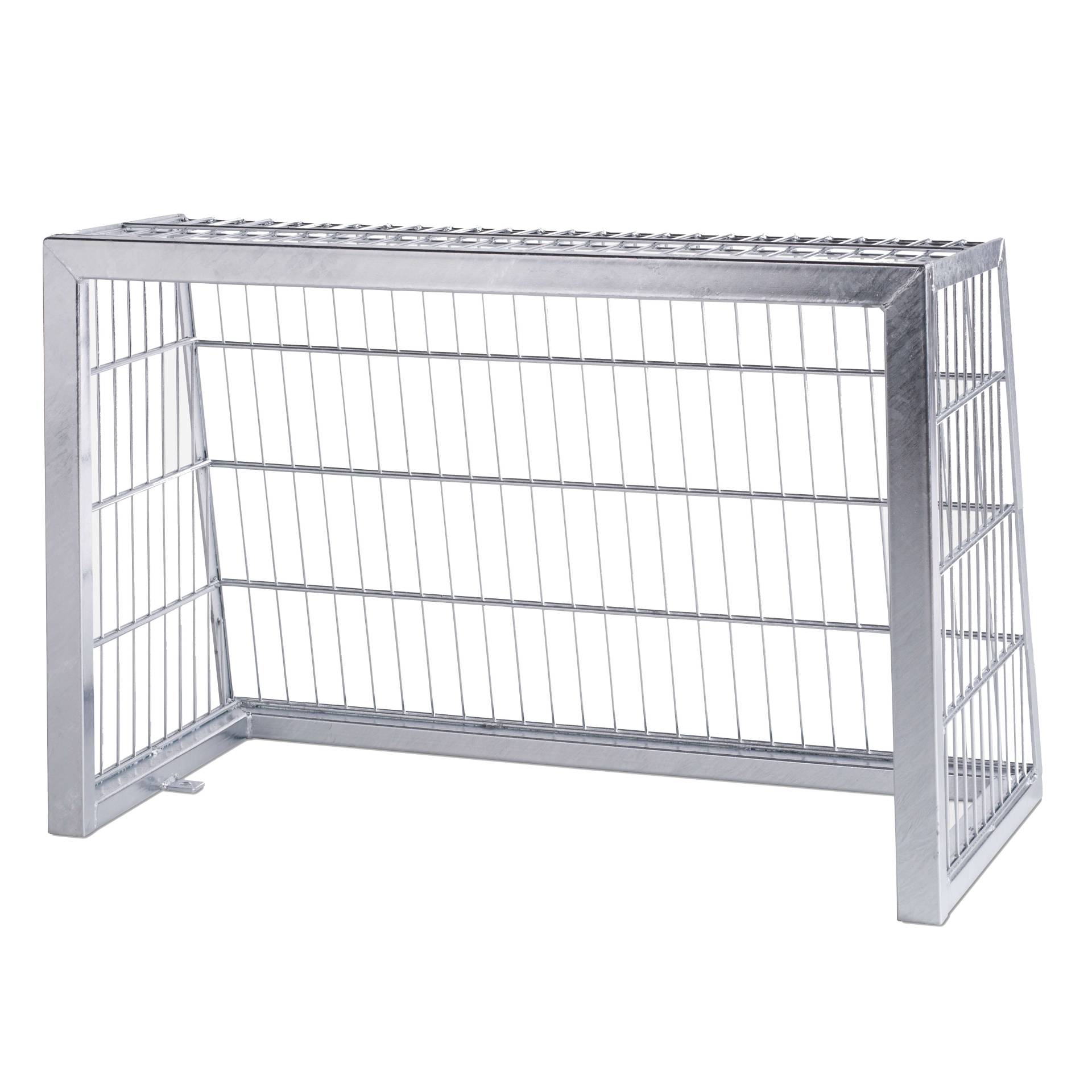 Sport-Thieme Mini-Bolzplatztor aus Stahl Sport-Thieme Mini-Bolzplatztor aus Stahl von Sport-Thieme