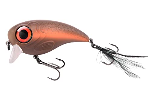 Spro Fat Iris - Plug - Shining Roach - 8cm - 40g Spro Fat Iris - Plug - Shining Roach - 8cm - 40g von Spro