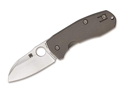 Spyderco 01SP1012 Techno 2 Taschenmesser, Grau von Spyderco