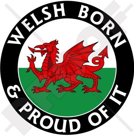 WALES Walisisch Geboren und Stolz CYMRU Großbritannien UK 100mm Auto & Motorrad Aufkleber, Vinyl Sticker von StickersWorld