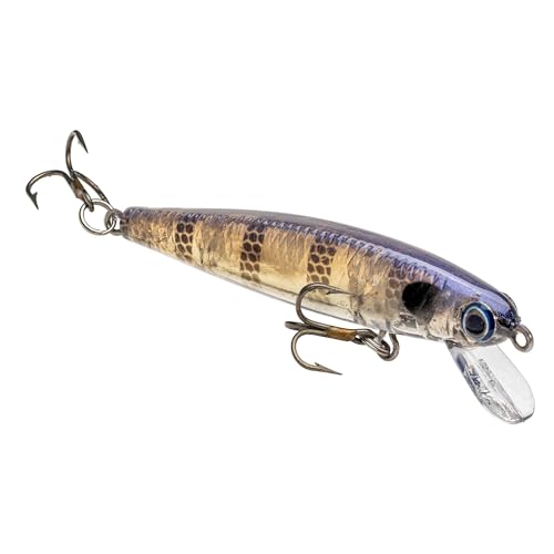 Strike King (HCJB-234) Bitsy Jerkbait Angelköder, langsam sinkender Elritze-Profil, Harter Köder, 0,5 l, Größe 10 Drillingshaken, Bluegill von Strike King