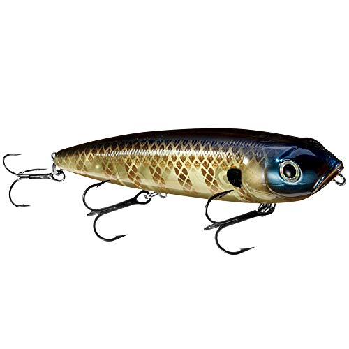 Strike King Unisex-Erwachsene HCKVDSD-652 KVD Dawg/Summer, Sommer Sexy Shad, 4.5" Strike King Unisex-Erwachsene HCKVDSD-652 KVD Dawg/Summer, Sommer Sexy Shad, 4.5" von Strike King