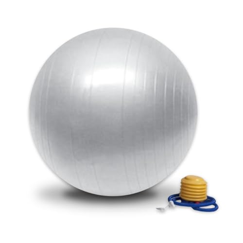 Sun & Sia yb55-ar Ball Fitness-Unisex Erwachsene, Silber von Sun&Sia