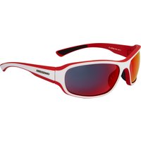 Swiss Eye Freeride Radbrille von Swiss Eye