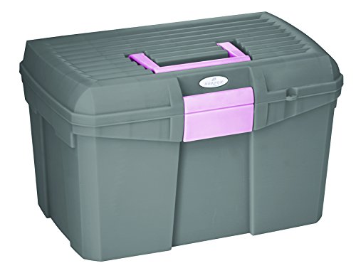 Norton 700004 Tack Box, grau/pink, 40 x 27.5 x 24.5 cm Norton 700004 Tack Box, grau/pink, 40 x 27.5 x 24.5 cm von Symantec