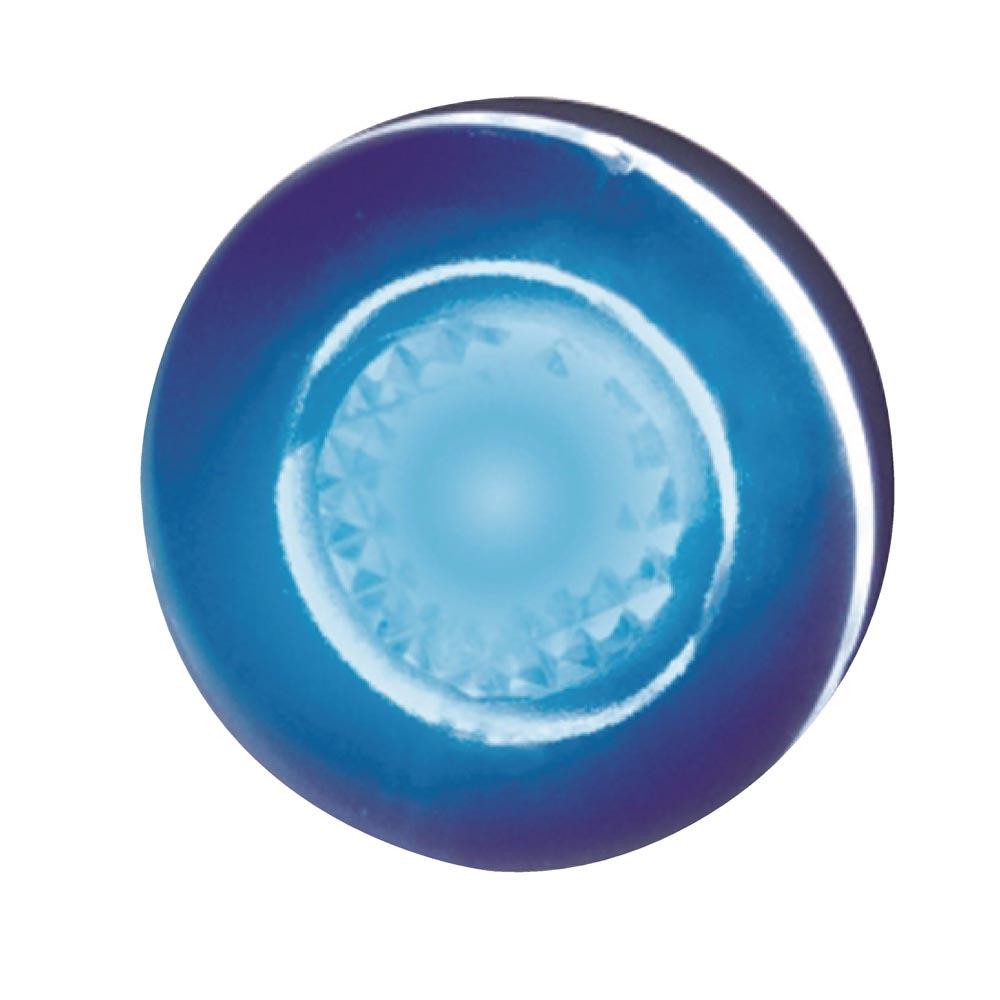 T-h Marine Led Utility-live Well Blau T-h Marine Led Utility-live Well Blau von T-h Marine