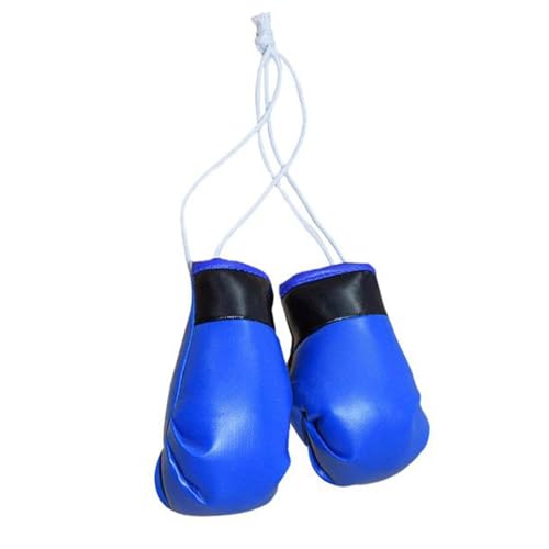 TABSIRAH Boxhandschuhe – 2 Stück Pro Training Sparring – Boxhandschuhe – Boxhandschuhe für Autospiegel, Miniatur-Boxzubehör, Boxhandschuhe für Zuhause, Autotasche, Dekoration von TABSIRAH