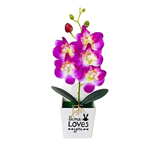 Künstlicher Bonsai-Baum, künstliche Phalaenopsis-Blume im Topf, Kunstpflanzen aus Kunststoff, Heim- und Gartendekor mit Topf, Heim- und Wohnzimmer-Schreibtisch-Dekoration, Kunstpflanze im Topf, von TAIYUESHAN